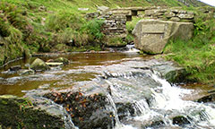 Bronte bridge
